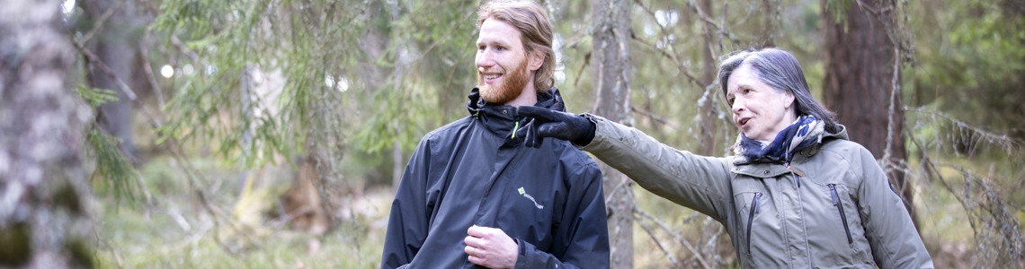 Hyggesfritt skogsbruk