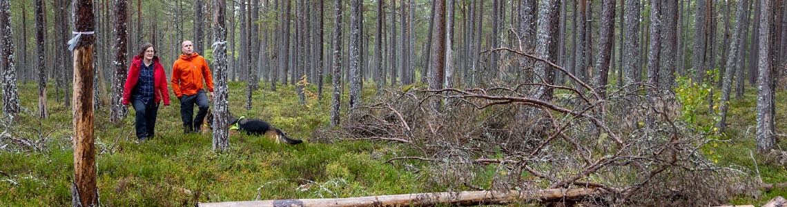 Naturvårdande skötsel