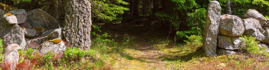 Hyggesfritt Skogsbruk och Kulturmiljöer