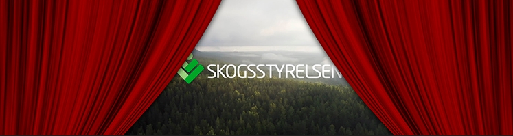 Skogen och klimatet från 1950-talet till idag