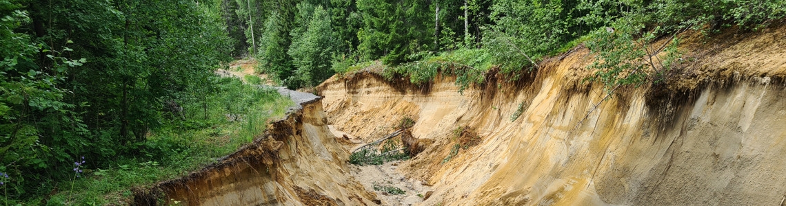 RISK - Extremvädret i Västernorrland: vad skedde?