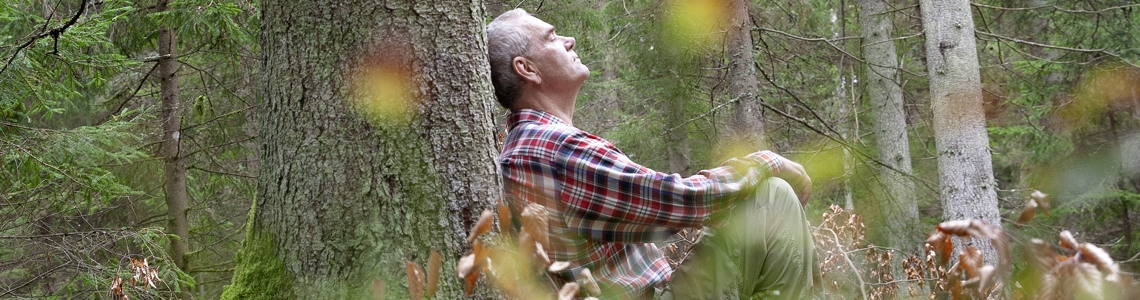 Man som sitter lutad mot en gran i skogen.