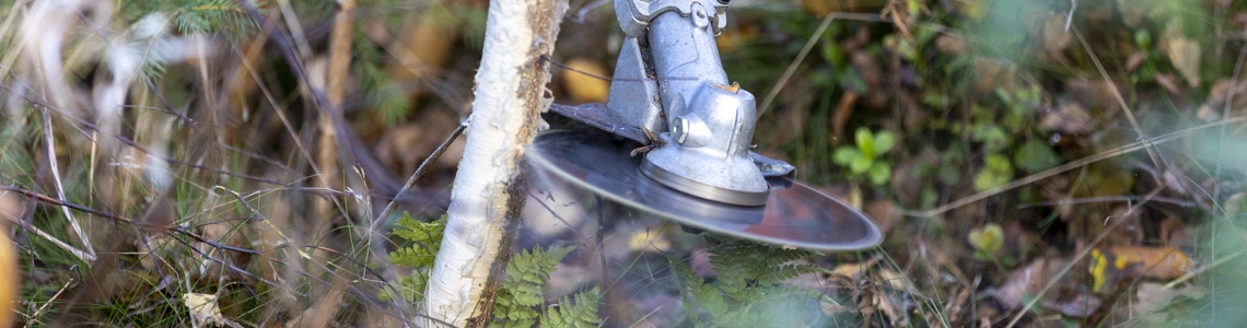 röja, röjning, röjsåg, Midälvagården , Matfors, klinga, röjklinga, röjsågsklinga, ungskogsröjning, beståndsvård, löv