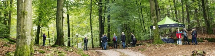 Skogsträff i Åkulla