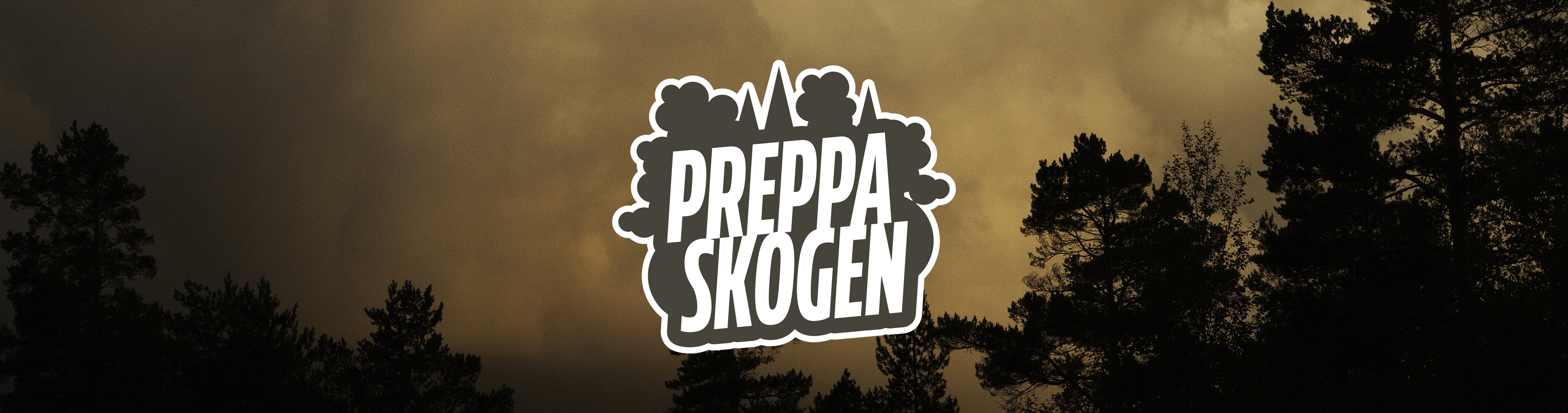 Skogsbrand Västmanland