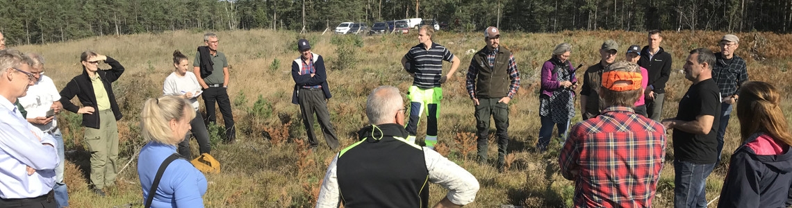 Skogsstyrelsepersonal står och diskuterar betesskador av rådjur, tillsammans med flera andra aktörer och privata skogsägare