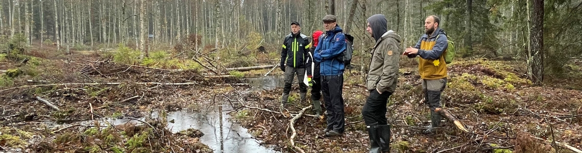 Återvätningsområde på Nässjö kommuns fastighet Gamlarp 1:10 Dikena är vattenfyllda efter dessa har pluggats i september 2022.